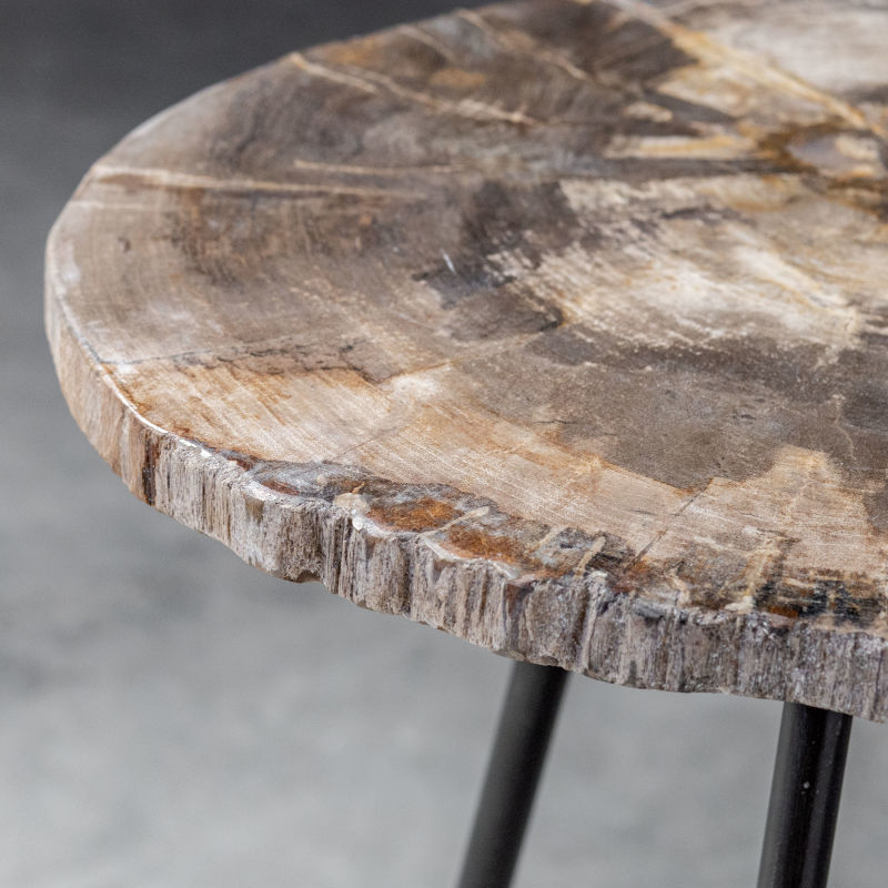25461 Uttermost Mircea Petrified Wood Accent Table