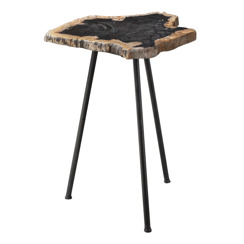 25461 Uttermost Mircea Petrified Wood Accent Table