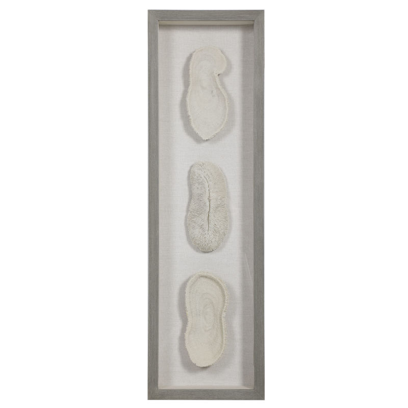 04282 Uttermost White Coral Shadow Box