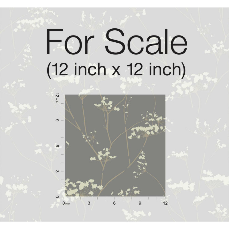 Dn3711 Scale