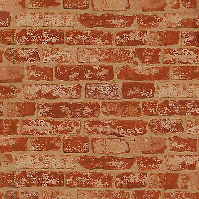 BZ9206 Up The Wall Wallpaper
