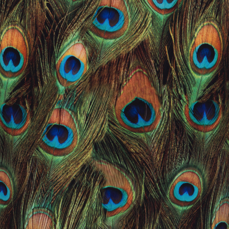 101872 Image8 Tabitha Accent Chair Green Gold Peacock Print