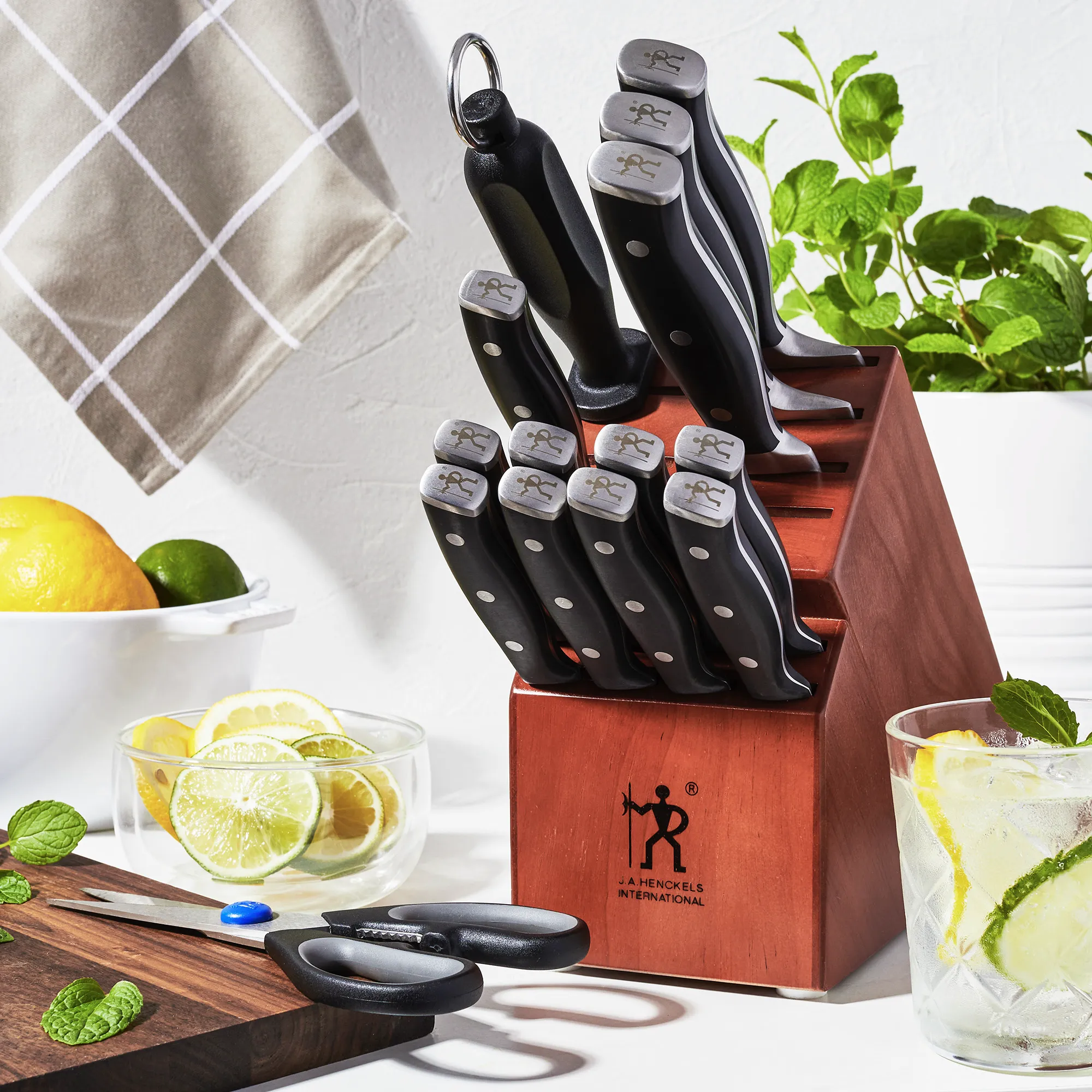https://www.homethreads.com/files/zwilling/19541-000-henckels-forged-accent-15-pc-knife-block-set-4.webp